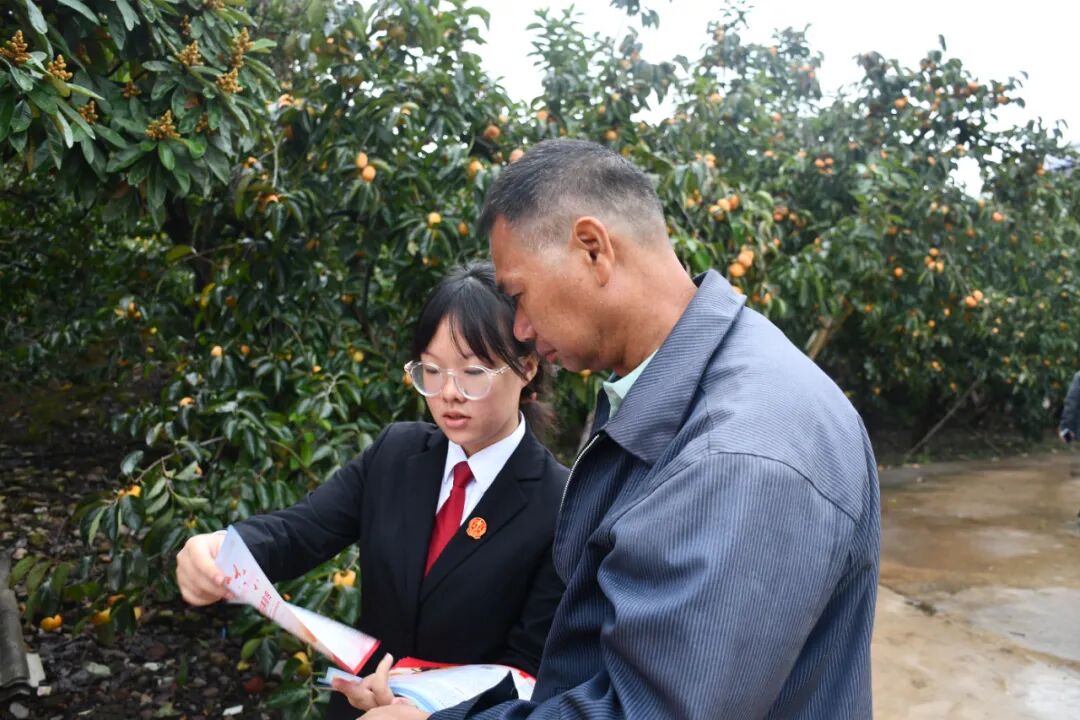 平乐法院:从枝头到舌尖,法治护航“柿”业红
