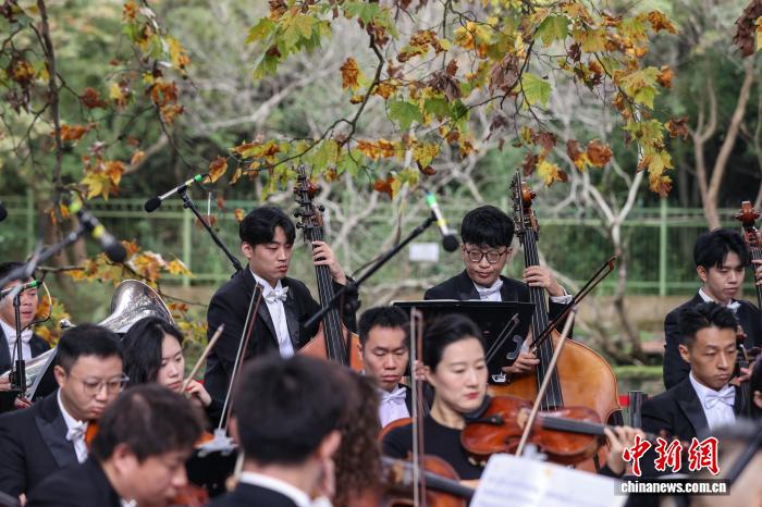 贵阳花溪：“黄金大道”交响音乐会上演