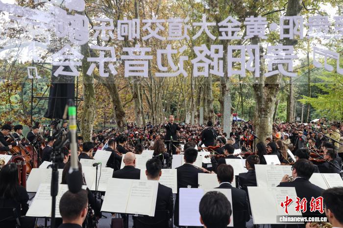 贵阳花溪：“黄金大道”交响音乐会上演