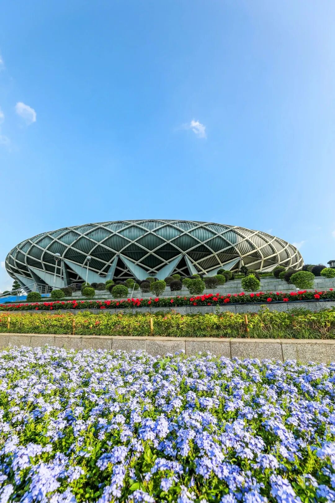 这氛围,疯狂心动了 还有周边送送送 | 十五运@坪山