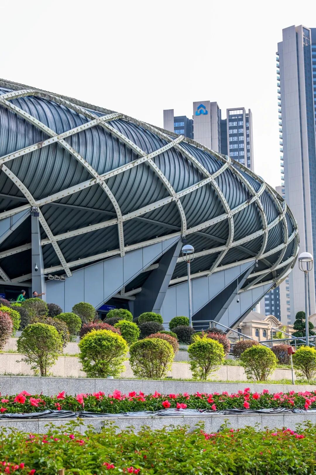 这氛围,疯狂心动了 还有周边送送送 | 十五运@坪山