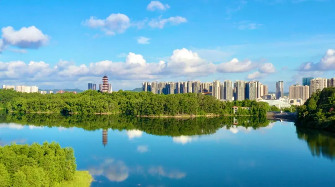 聚链成势,深圳坪山AI产业加速跃升