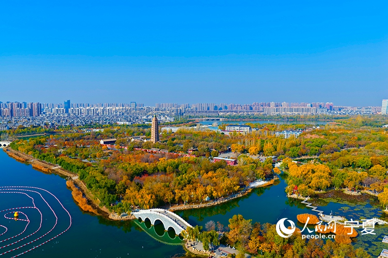 宁夏银川:政策主动上门 服务精准对接