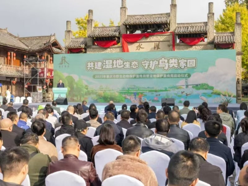 重庆市野生动物保护宣传月启动 推动“爱鸟护湿”理念深入人心