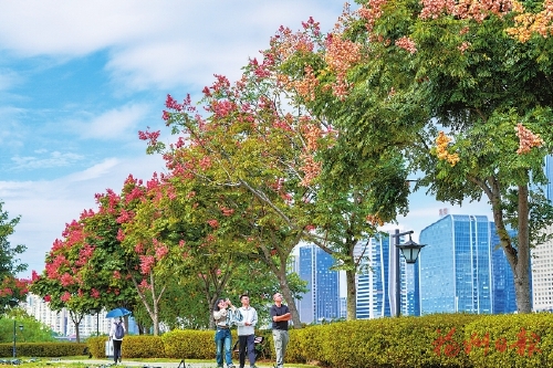 天蓝树绿满城香 在福州，遇见秋冬“舒适圈”