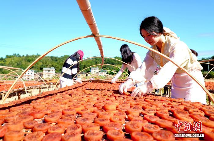 (乡村行·看振兴)福建永定:柿饼正飘香 农户笑开颜