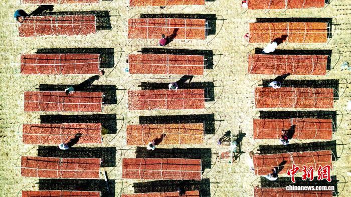 (乡村行·看振兴)福建永定:柿饼正飘香 农户笑开颜