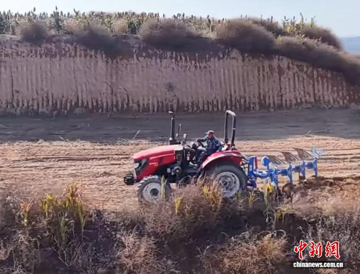 山西柳林:机械化抢收秋粮 产业链赋能增收