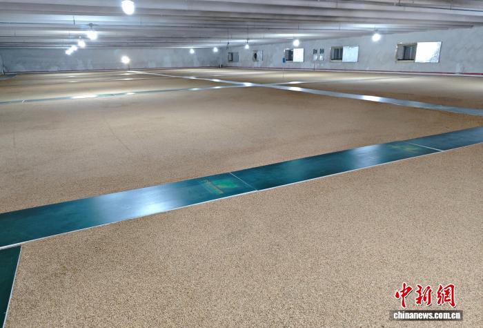 宁夏“数智粮库”:科技赋能粮食储备提质增效