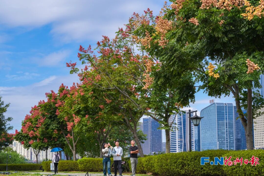 美得像春天!被福州的“蓝绿”治愈了!