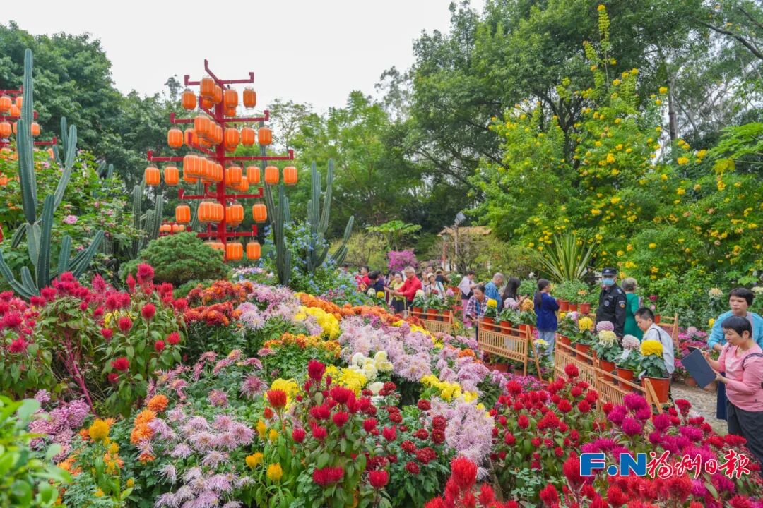 美得像春天!被福州的“蓝绿”治愈了!