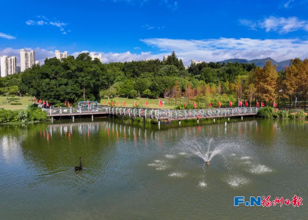 美得像春天!被福州的“蓝绿”治愈了!