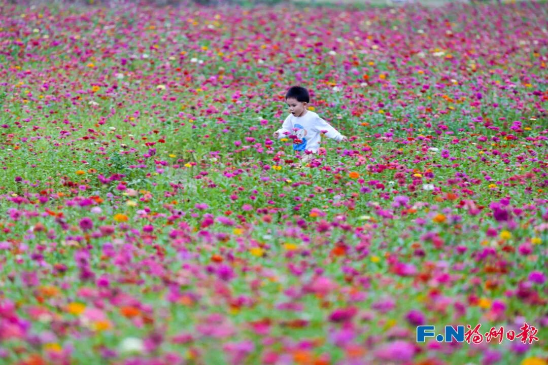 美得像春天!被福州的“蓝绿”治愈了!