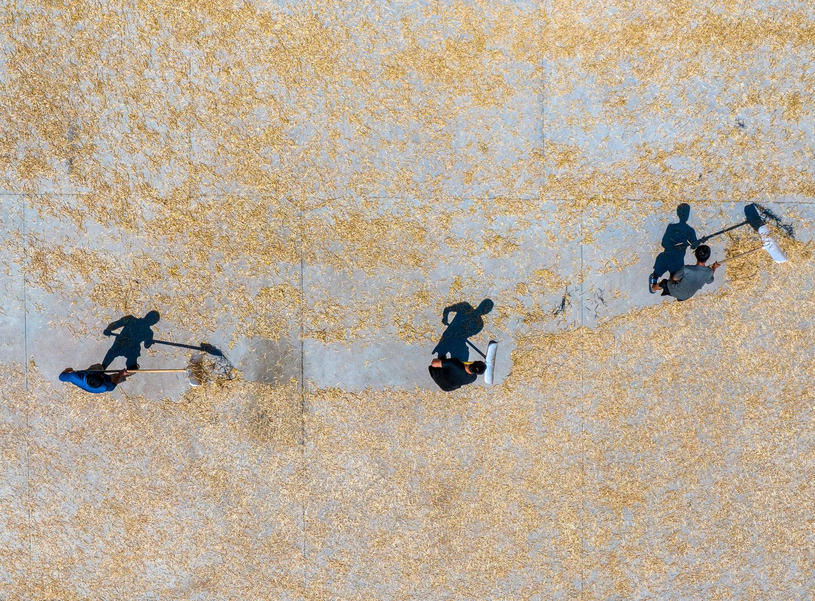 图品宁夏丨在万物凋零的刹那，按下重生的快门