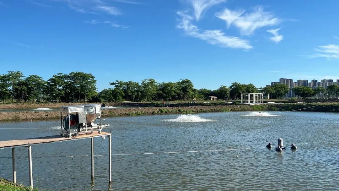 华中农业大学一项科技成果“卖”出2000万元！