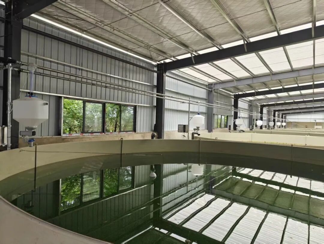 华中农业大学一项科技成果“卖”出2000万元！