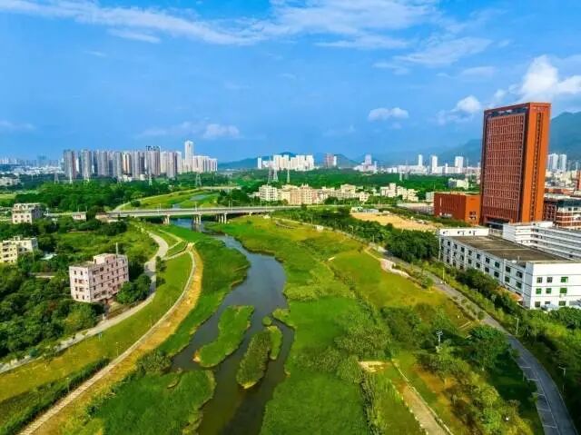 南方观察｜深圳坪山举办十五运会最美赛事，展示硬核产业强区另一面