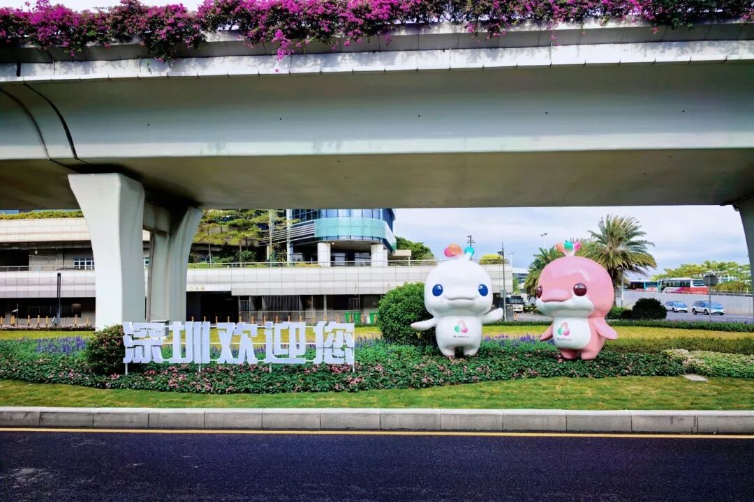 泼天的流量，宝安稳稳接住！