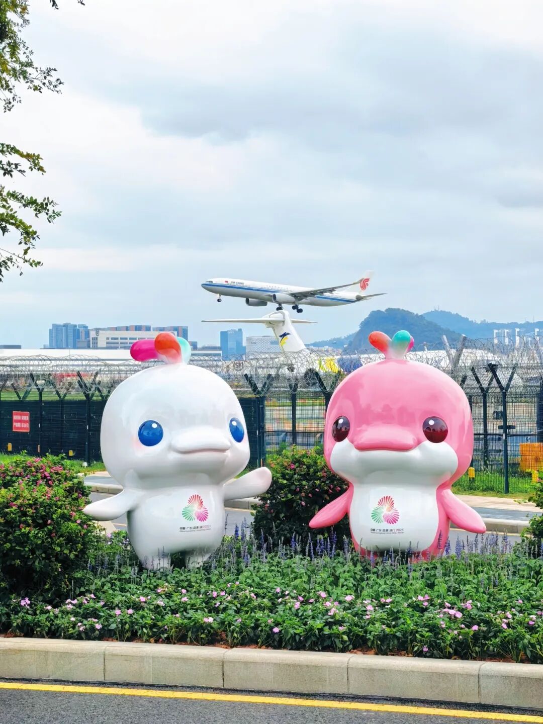 泼天的流量，宝安稳稳接住！