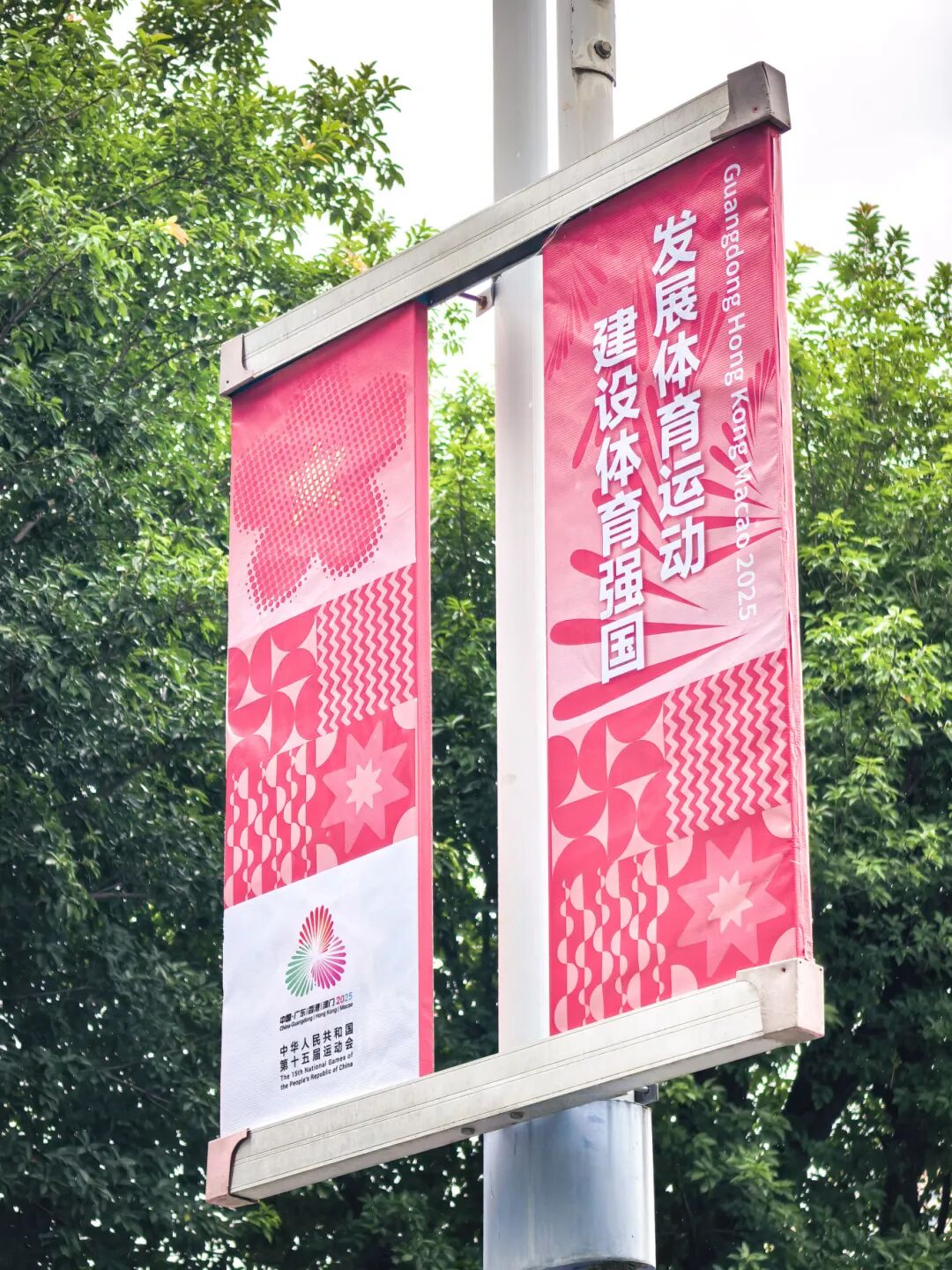 泼天的流量，宝安稳稳接住！