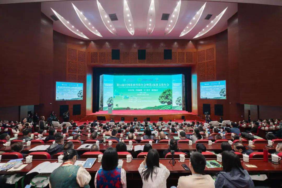 文化浸润秘境 科技赋能茶乡