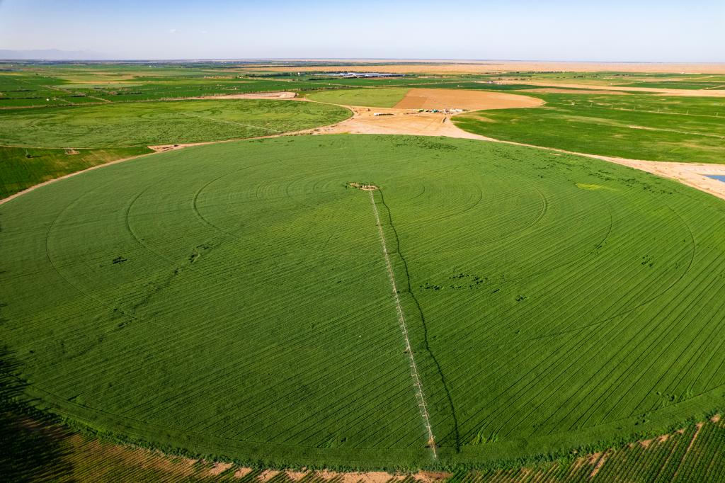 国际奥委会主席考文垂为何专程来到内蒙古这家企业？