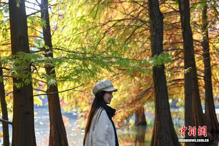 南京燕雀湖色彩斑斓 “绘就”天然画卷