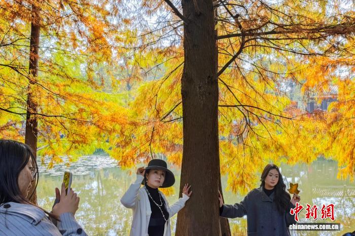 南京燕雀湖色彩斑斓 “绘就”天然画卷