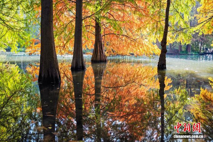 南京燕雀湖色彩斑斓 “绘就”天然画卷
