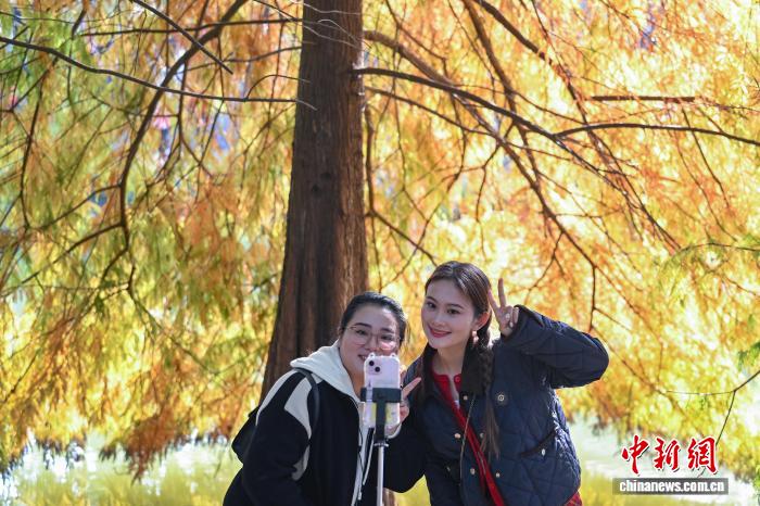 南京燕雀湖色彩斑斓 “绘就”天然画卷