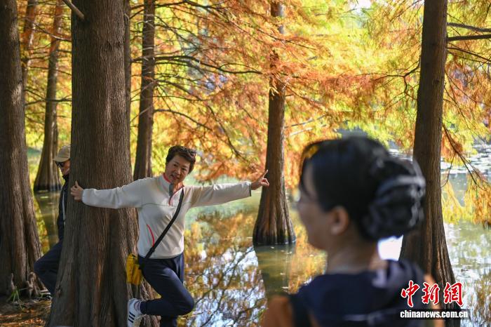 南京燕雀湖色彩斑斓 “绘就”天然画卷