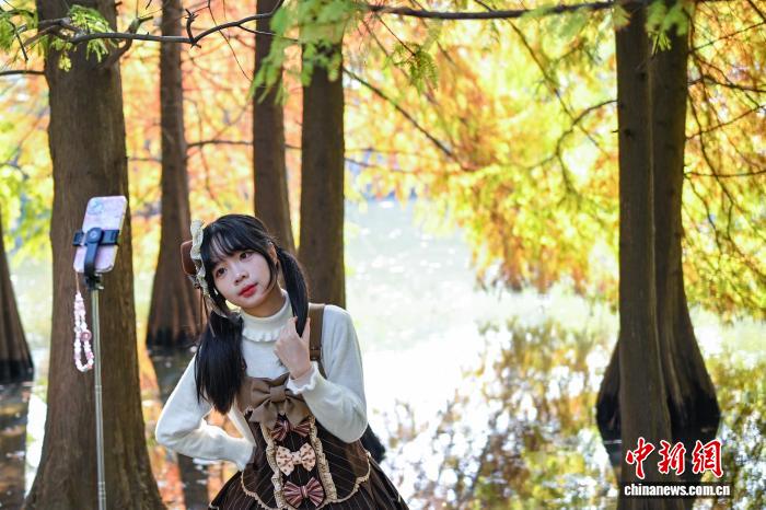 南京燕雀湖色彩斑斓 “绘就”天然画卷