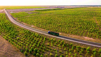 风沙线上,写下青绿诗行 风沙线上,写下青绿诗行