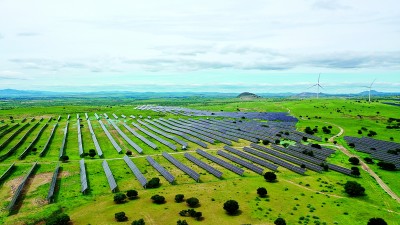 风沙线上,写下青绿诗行 风沙线上,写下青绿诗行