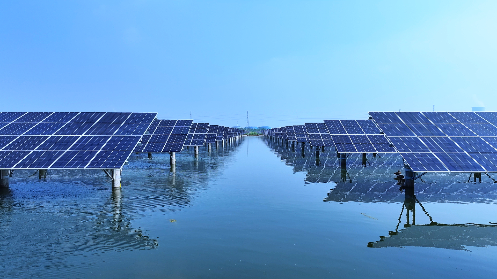 盐碱滩上育新绿 从“荒芜地”到“能源海”