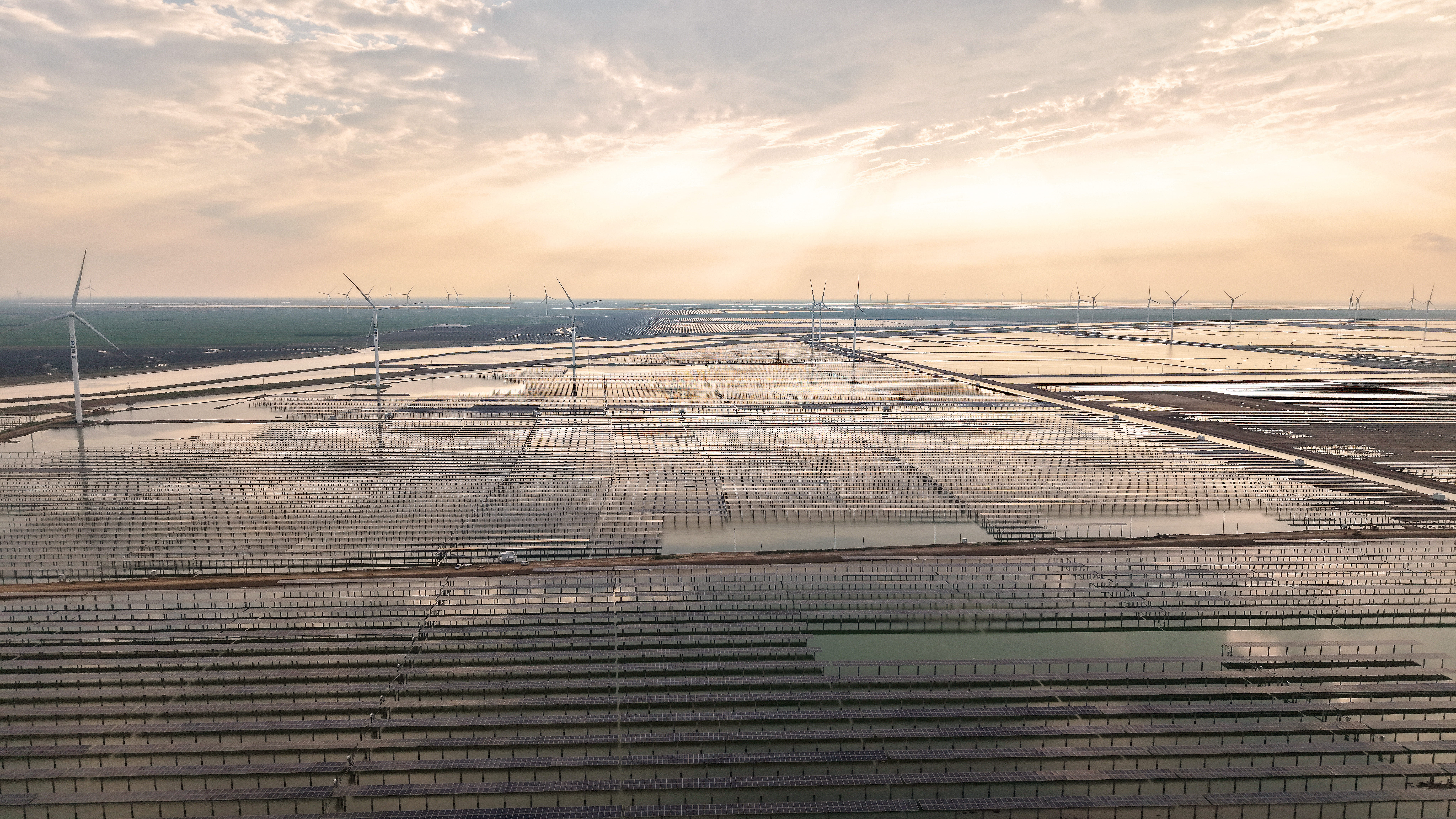 盐碱滩上育新绿 从“荒芜地”到“能源海”