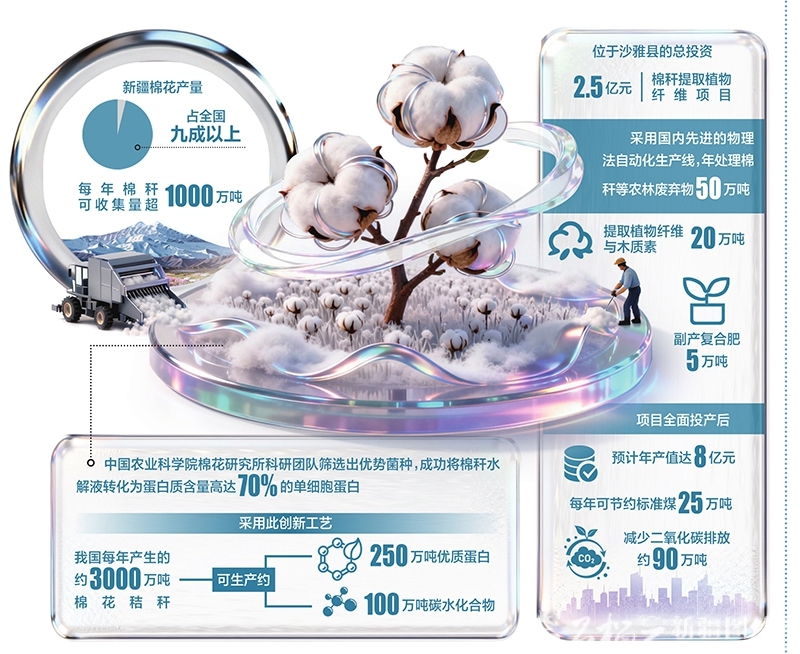 新疆棉秆如何点“草”成金