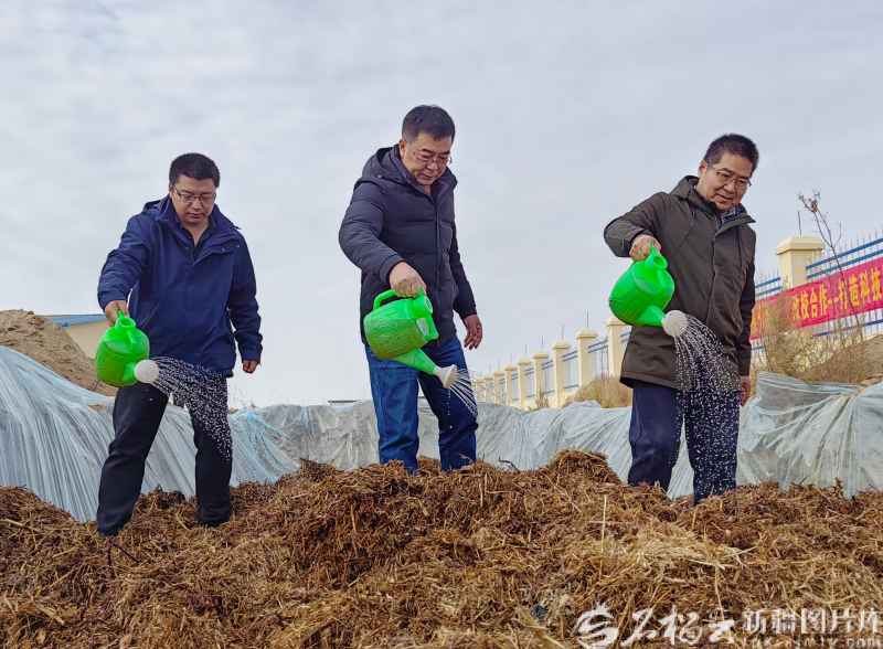 新疆棉秆如何点“草”成金