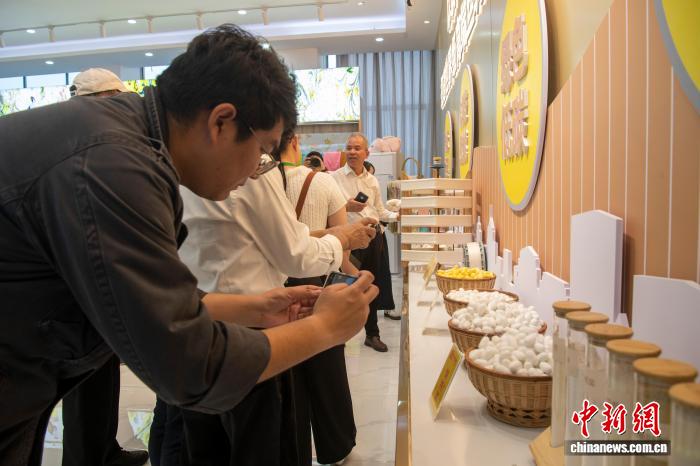 海外媒体人探访“桑蚕之乡” 了解桑蚕产业变迁 海外媒体人探访“桑蚕之乡”了解桑蚕产业变迁