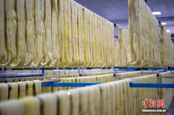 海外媒体人探访“桑蚕之乡” 了解桑蚕产业变迁