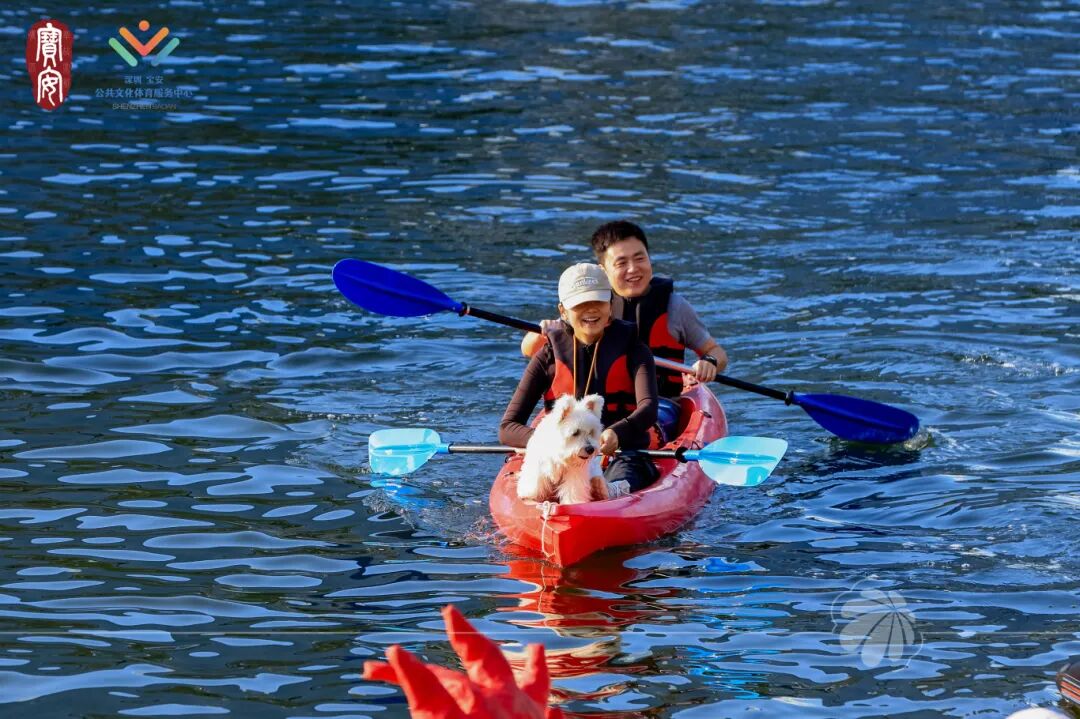 解压!过瘾!这场水上嘉年华好好玩