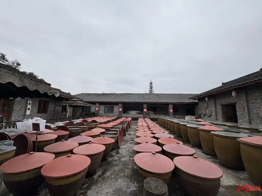 沿着总书记足迹看蜀乡新风!从战旗村出发 沿着总书记足迹看蜀乡新风!从战旗村出发