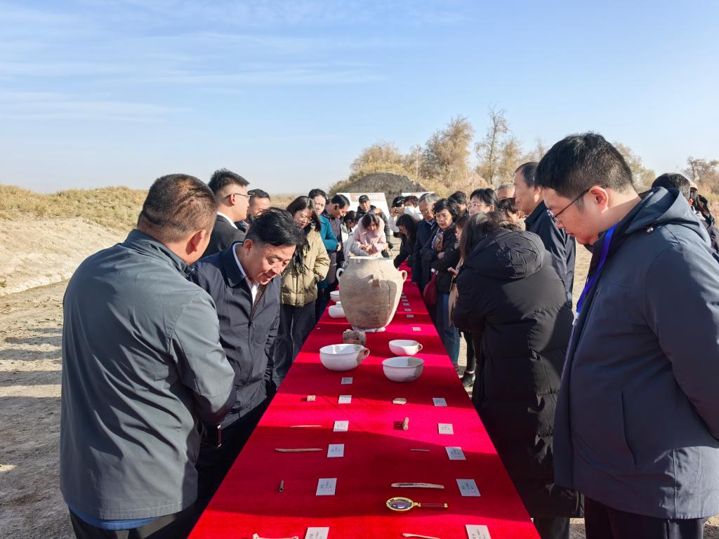 全国文物专家齐聚新疆沙雅共商“十五五”文化遗产保护新路径