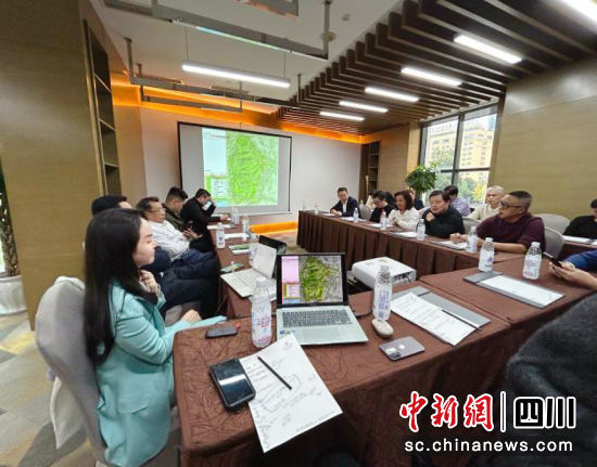 中国大熊猫国际博览园项目规划建设研讨会在蓉举行 研讨会现场。牟园 摄