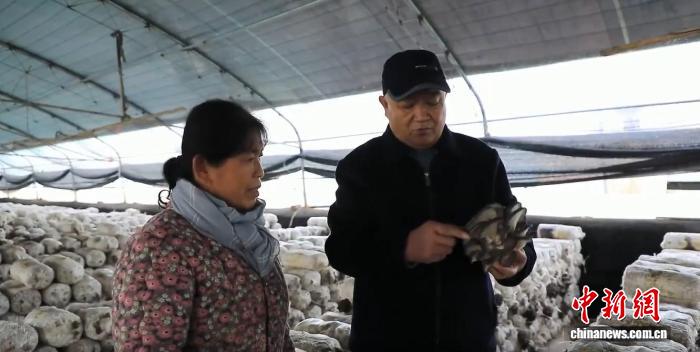 一粒种子撬动千万增收 “农业芯片”的齐鲁答卷