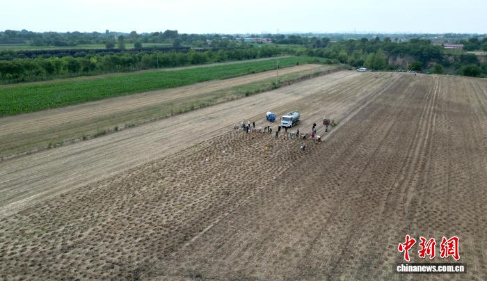 从播种到丰收 黄土塬上“一条龙”农技“良方”送田间