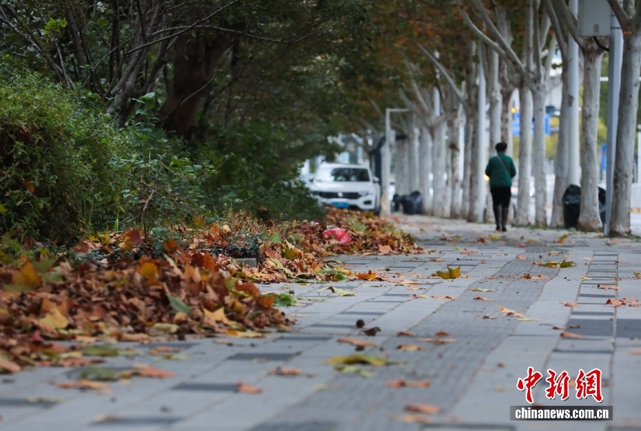 影响持续!本轮寒潮过后,气温还会回升吗?