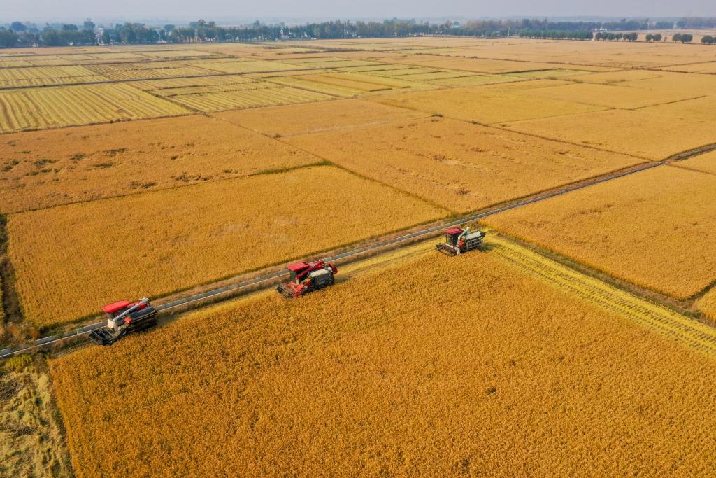 决胜“十四五” 打好收官战丨增肥黑土地 筑牢大粮仓——吉林加强黑土地保护一线观察