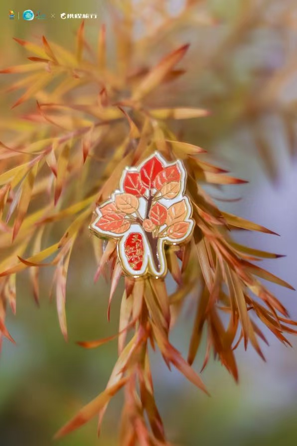 “云、江、山、叶” 交织成绝美画卷 巫山向世界发出赏秋盛邀 “云、江、山、叶” 交织成绝美画卷 巫山向世界发出赏秋盛邀