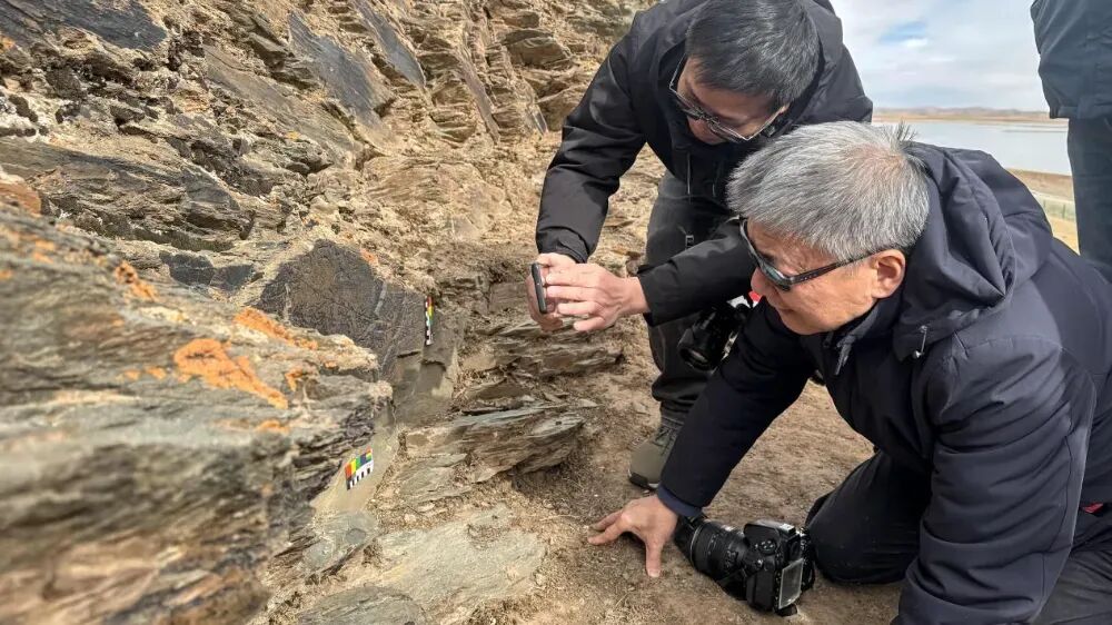 “必须保证青海‘秦刻石’的原地原状”